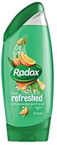Radox Shower Gel - Citrus Oils & Eucalyptus - 250ml